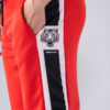 SHORTS TIGER - Great I Am