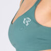 ATHLETICS V-FRAME SPORTS BRA - Great I Am