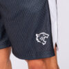 BASKETBALL SHORTS LEGACY - Great I Am